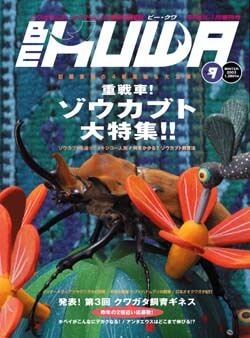 懐かしのBE-KUWA | Dorcus Navi 懐かしのBE-KUWA | Dorcus Navi